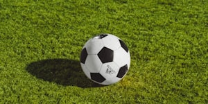 国际足球联合会FIFA官方标志合作展示